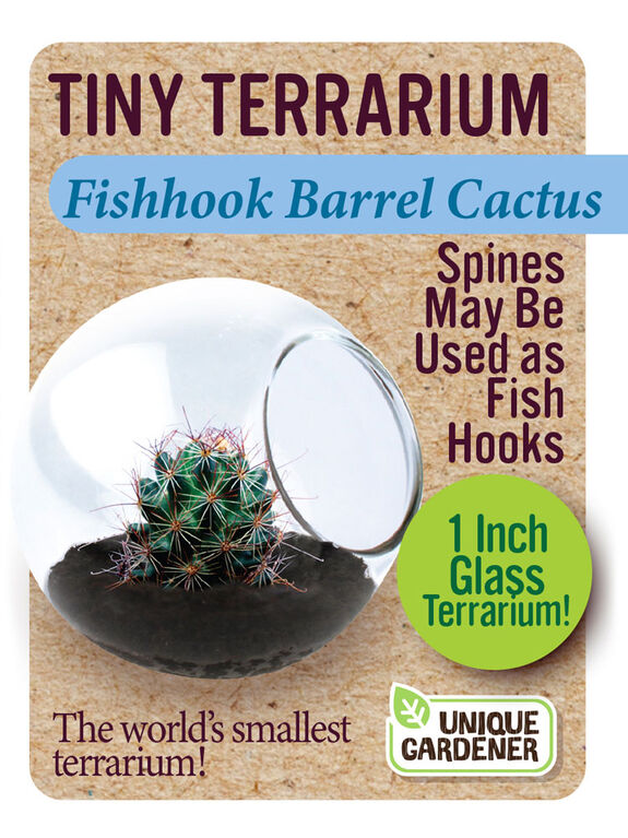 Fishhook Barrel Cactus - English Edition
