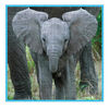 WWF 100 pc. Puzzle - Elephant - English Edition