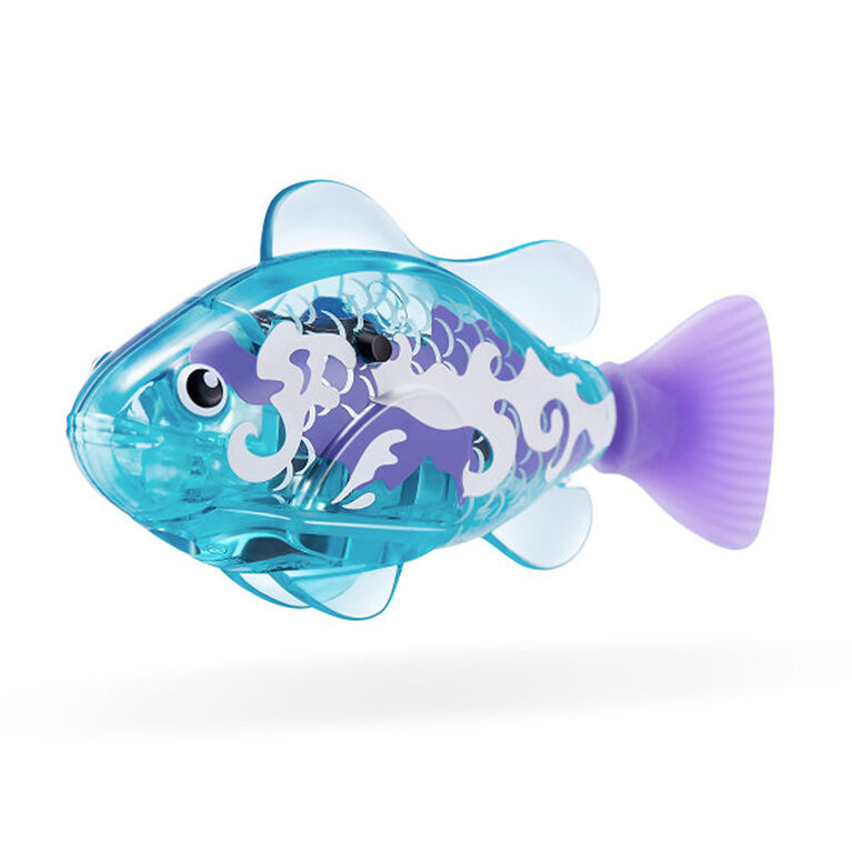 Robo fish nouvelle génération - Boîte collector