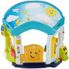 Fisher-Price Laugh & Learn Smart Learning Home