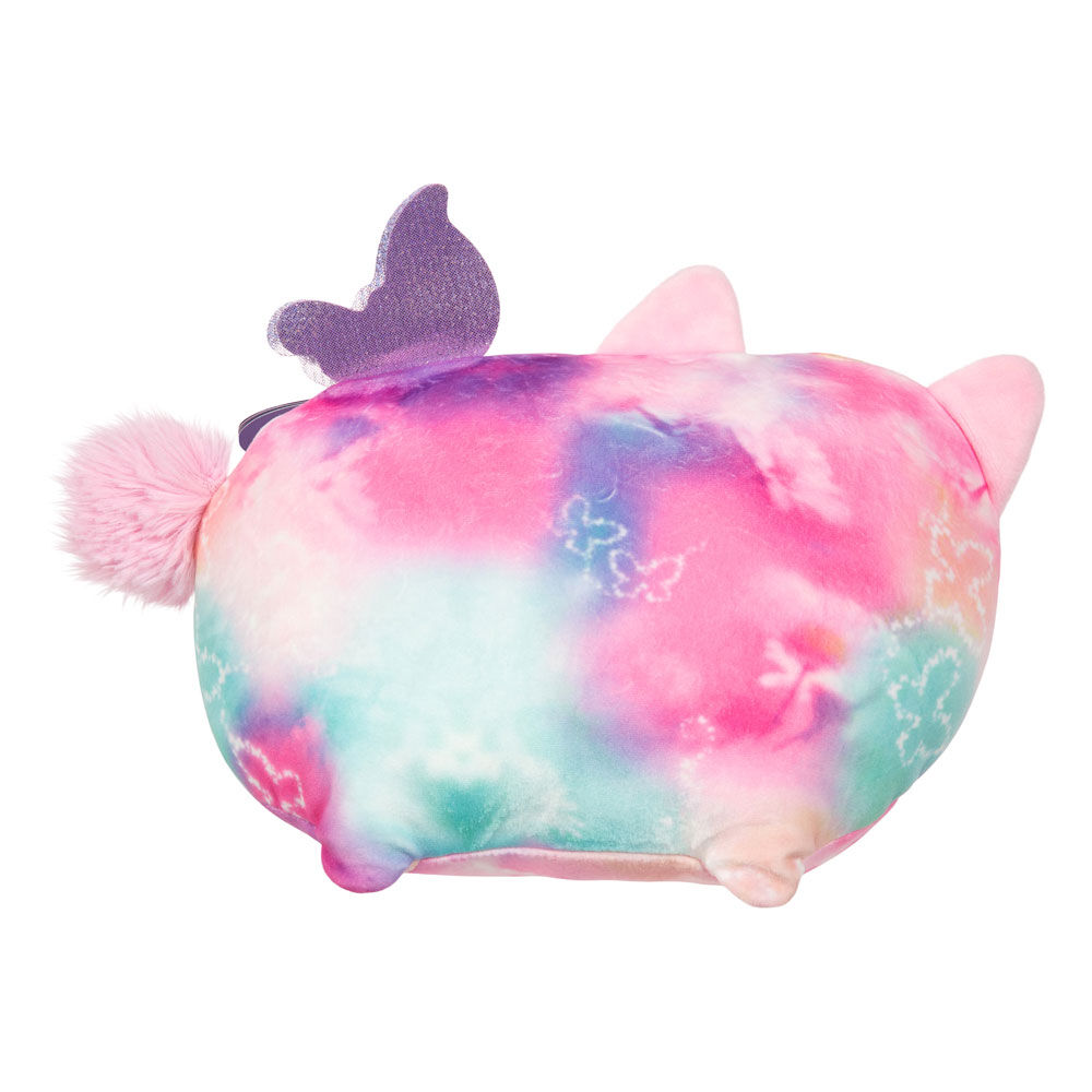 jelly dreams cat