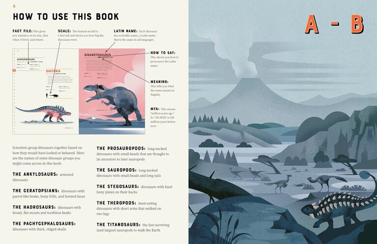 Dictionary Of Dinosaurs - English Edition