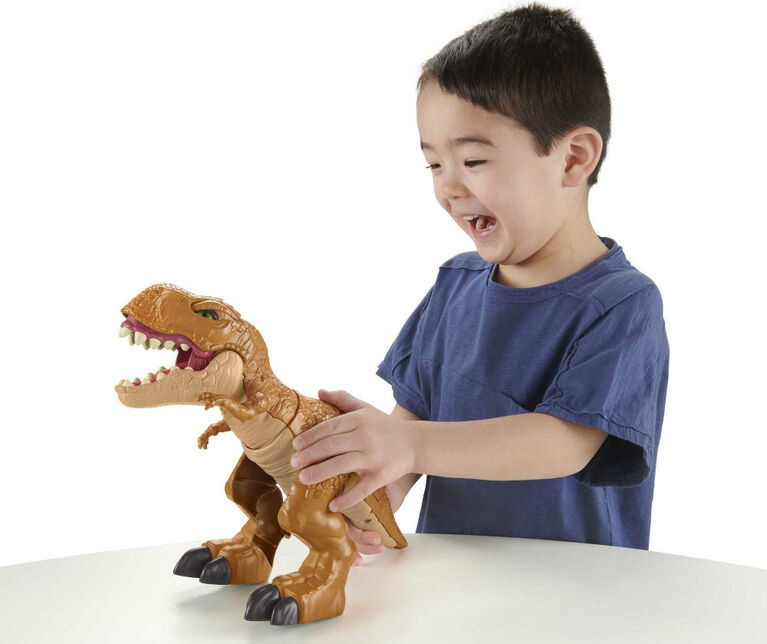Puzzle 3D Dinosaure T-Rex Jouet pour Garçon Fille 5 6 7 Ans Nationa