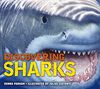 Discovering Sharks - English Edition