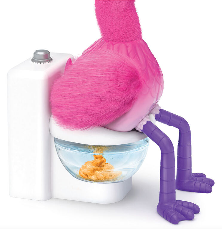 Little Live Pets Gotta Go Flamingo Toys R Us Canada - flamingo sings flamingo roblox id