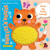 Squeeze n' Squeak: Kitty Wants to Play: Press my fluffy tummy! - English Edition