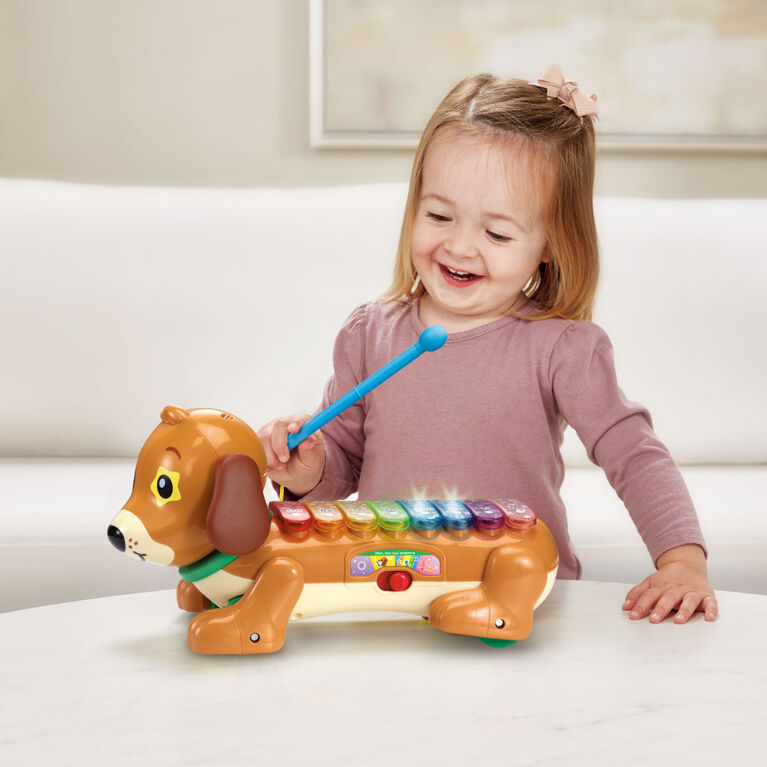 VTech Zoo Jamz Doggy Xylophone - French Edition