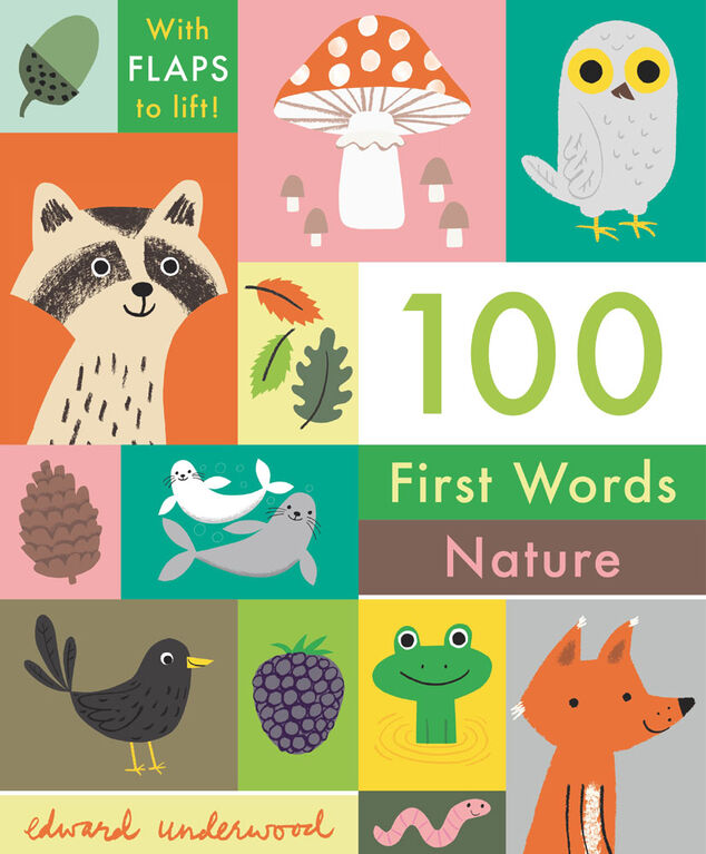 100 First Words: Nature - Édition anglaise
