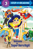 Welcome to Super Hero High! (DC Super Hero Girls) - Édition anglaise