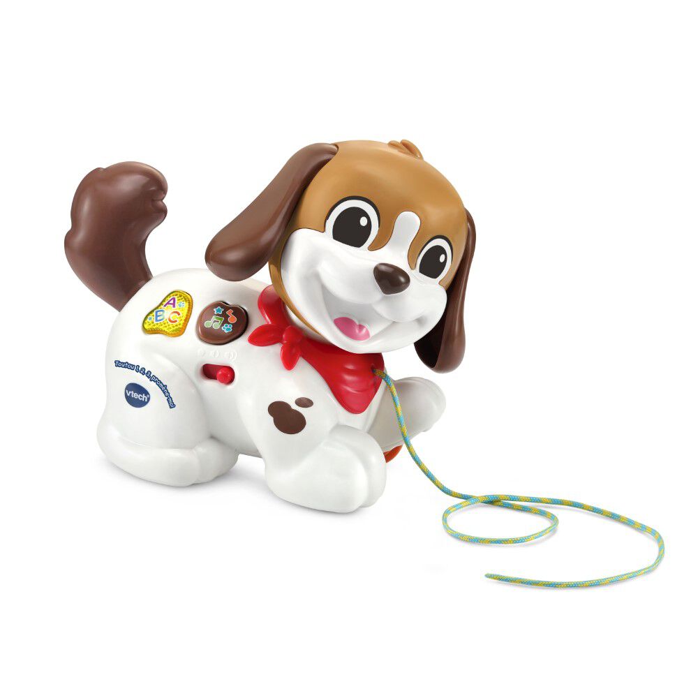 Toy puppy best sale dog