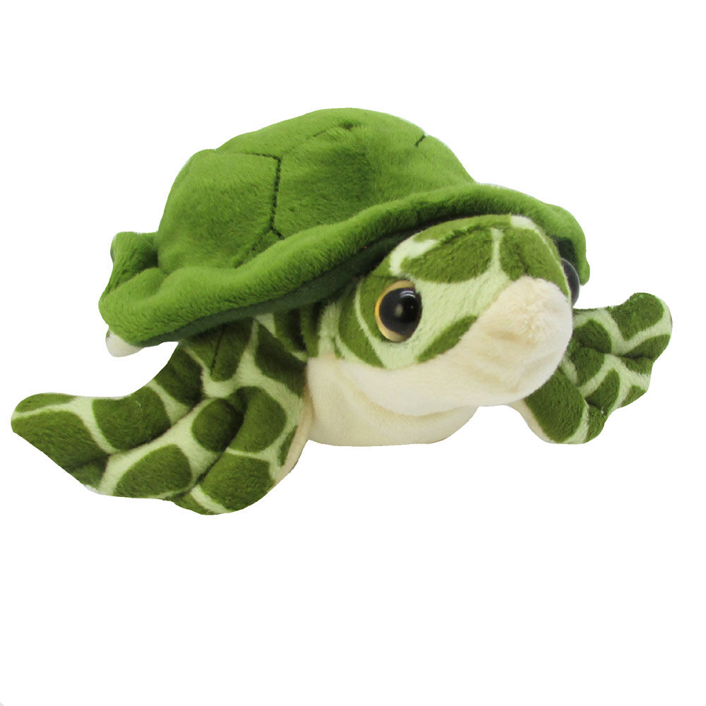 ALEX Sea Turtle 10