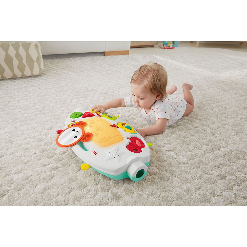 fisher price 4 in 1 ocean activity gym