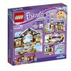 LEGO Friends Snow Resort Ice Rink 41322