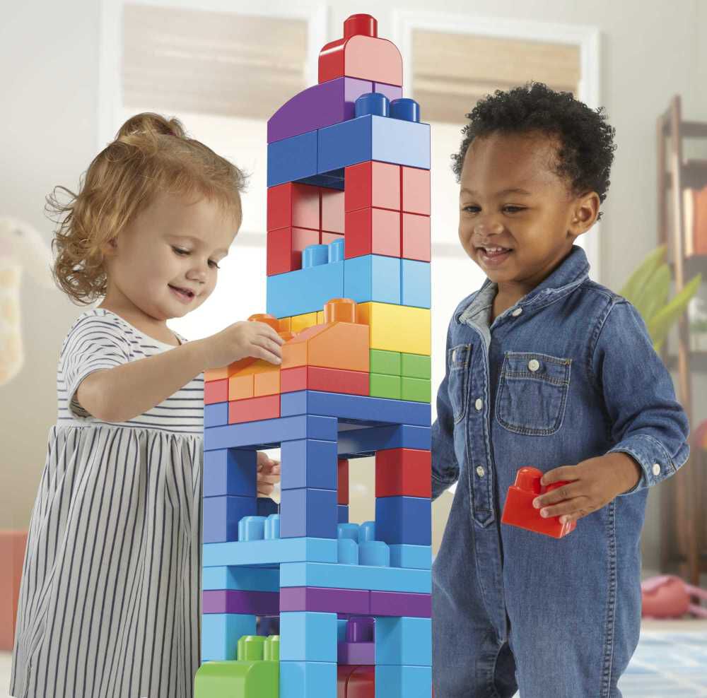 Mega Bloks First Builders Big Building Bag | Toys R Us Canada