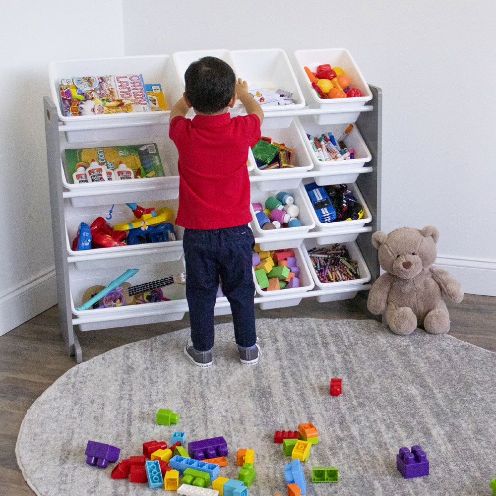 Toys r deals us storage bins