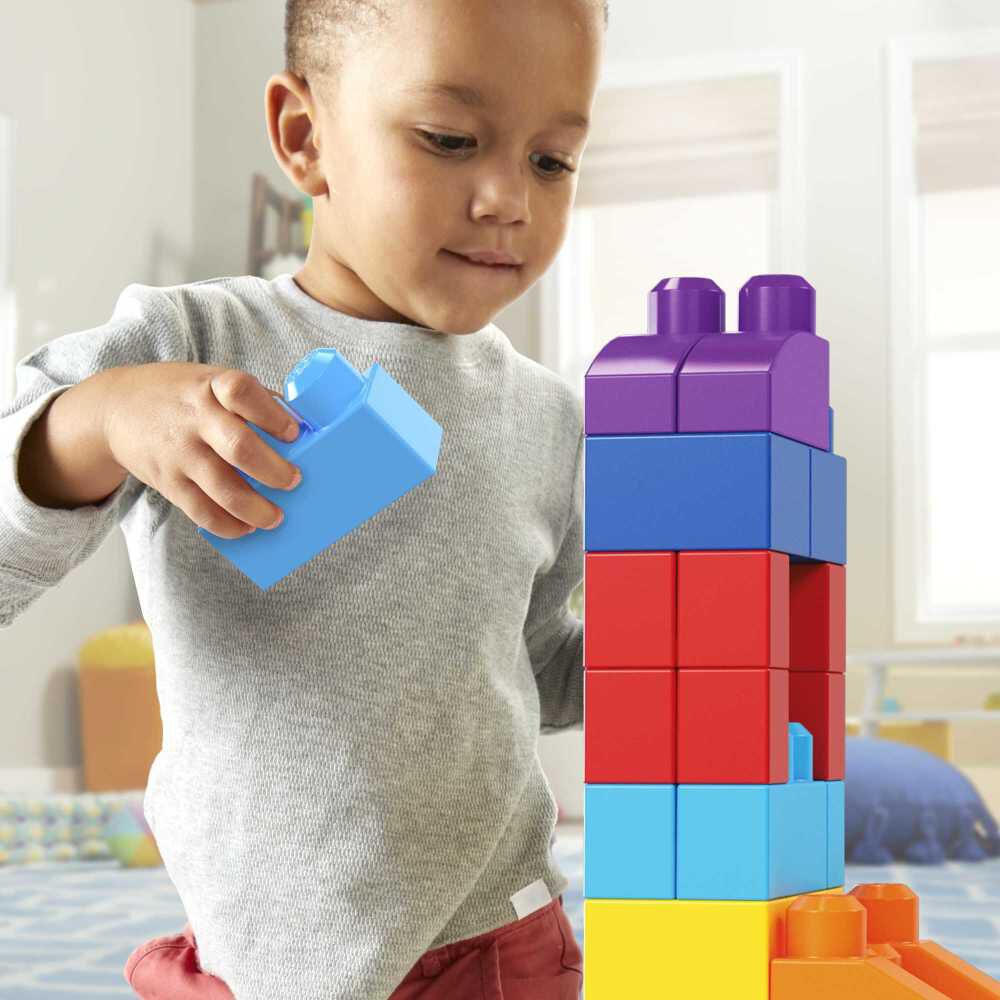 Mega Bloks First Builders Big Building Bag