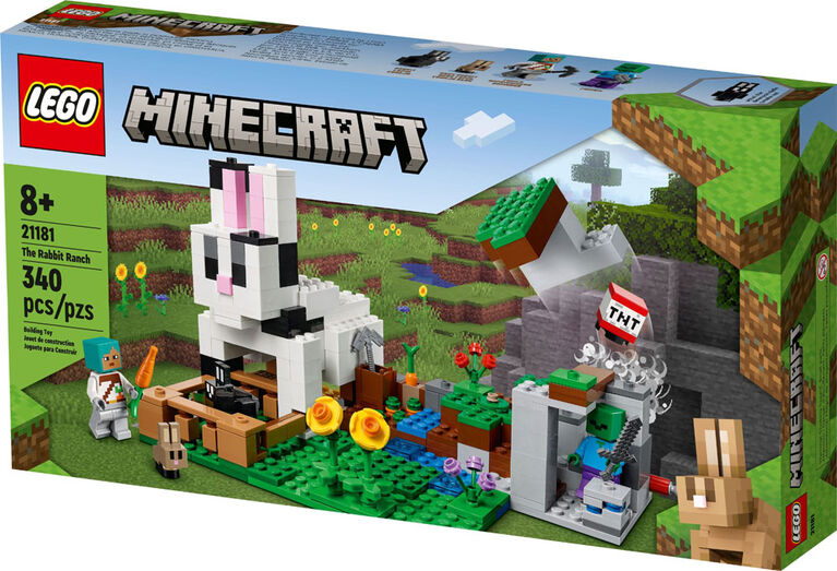 Anniversaire Minecraft 8-12 ans à domicile (13)