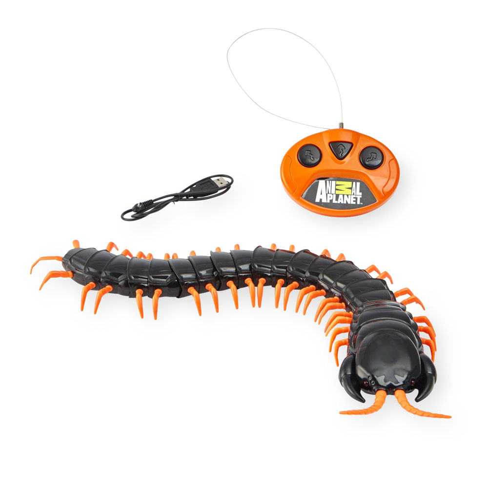 millipede toy