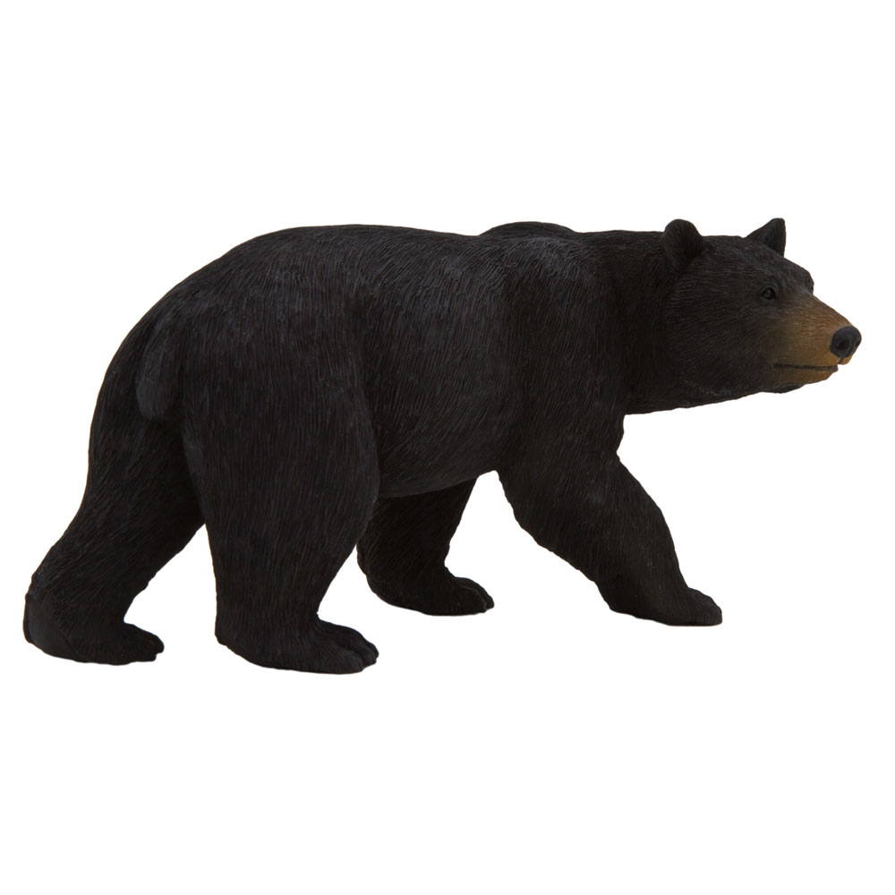 Alex - American Black Bear - Large 