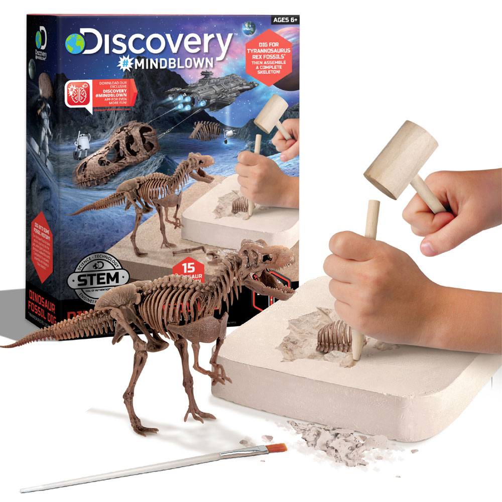 Toy Dinosaur Excavation Kit Skeleton 3D Puzzle - T Rex | Toys R Us Canada